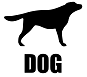 Zodiac Image